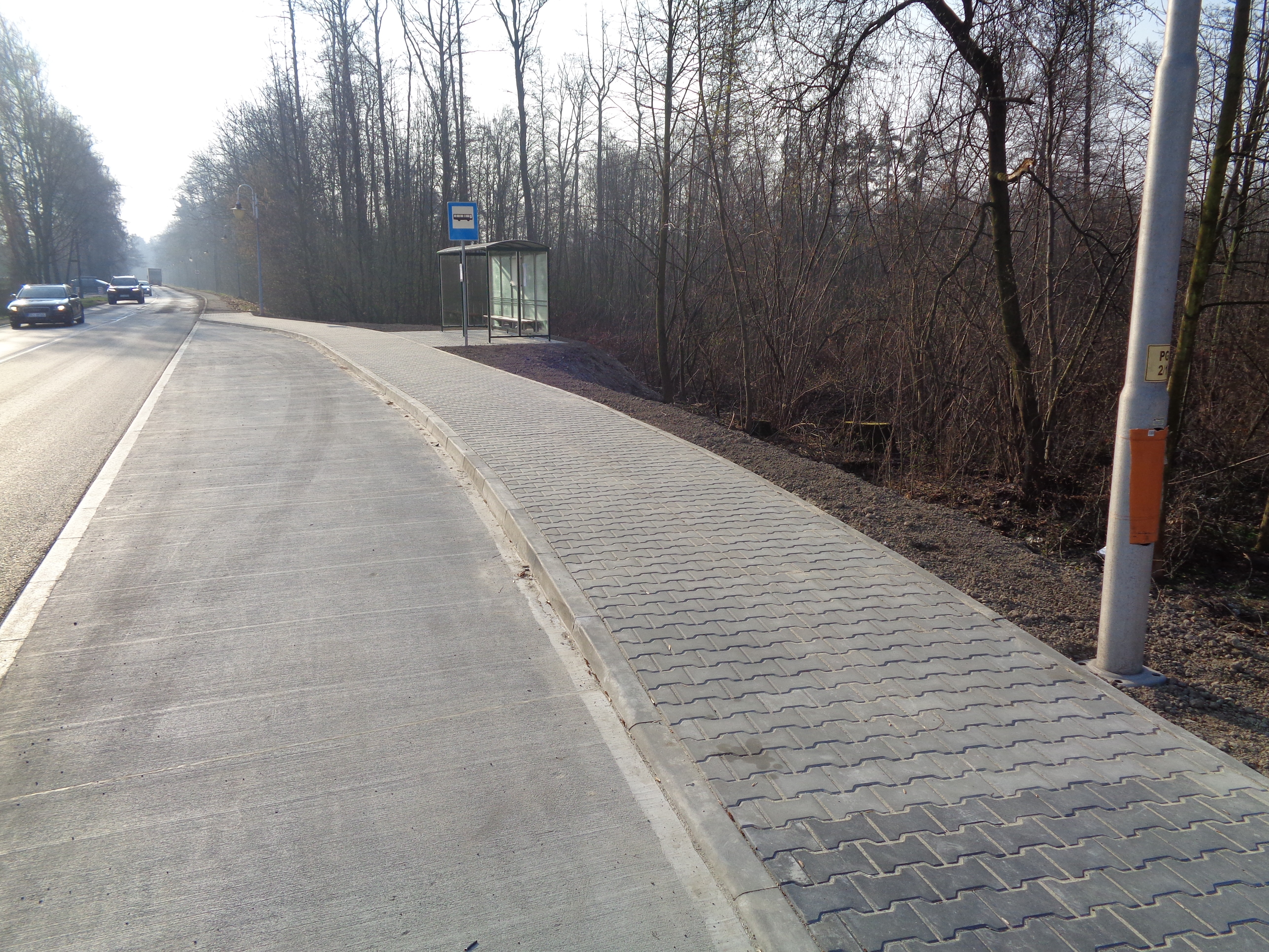 Chodnik z kostki brukowej wzdłuż drogi, przystanek autobusowy z wiatą oraz oznakowanie przy jezdni w otoczeniu drzew.