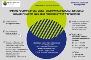 badania-ankietowe-r-zw-b-r-zw-s-portal-powiatu-cieszynskiego