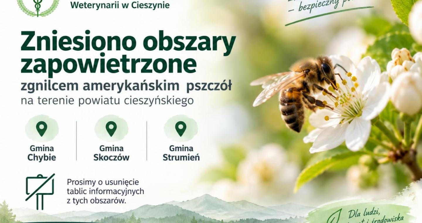 Grafika informacyjna Powiatowego Inspektoratu Weterynarii w Cieszynie. Komunikat o zniesieniu obszarów zapowietrzonych zgnilcem amerykańskim pszczół na terenie powiatu cieszyńskiego. Zmiana dotyczy gmin Chybie, Skoczów i Strumień. Na grafice widoczna pszczoła na białym kwiecie oraz informacja o usunięciu tablic związanych z obszarami zapowietrzonymi.