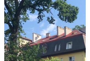 Widok na wyremontowany dach budynku z czerwonym pokryciem oraz kilkoma kominami i oknami dachowymi. Na pierwszym planie widoczne są drzewa, a w tle bezchmurne niebo.