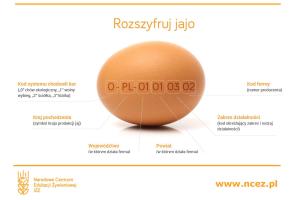 Rozszyfruj jajo