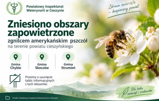 Grafika informacyjna Powiatowego Inspektoratu Weterynarii w Cieszynie. Komunikat o zniesieniu obszarów zapowietrzonych zgnilcem amerykańskim pszczół na terenie powiatu cieszyńskiego. Zmiana dotyczy gmin Chybie, Skoczów i Strumień. Na grafice widoczna pszczoła na białym kwiecie oraz informacja o usunięciu tablic związanych z obszarami zapowietrzonymi.